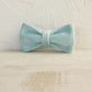 Teal Velour Collar Leash Bowtie
