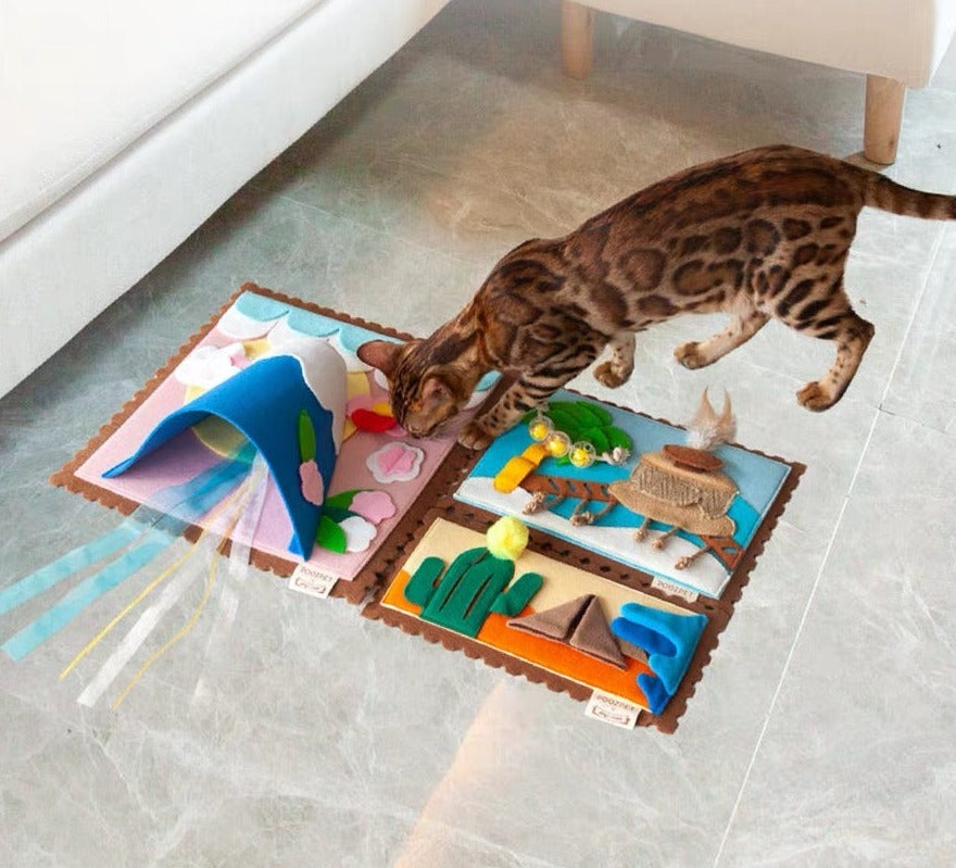 Cat Sniffing Mat - 3 Pieces Toy