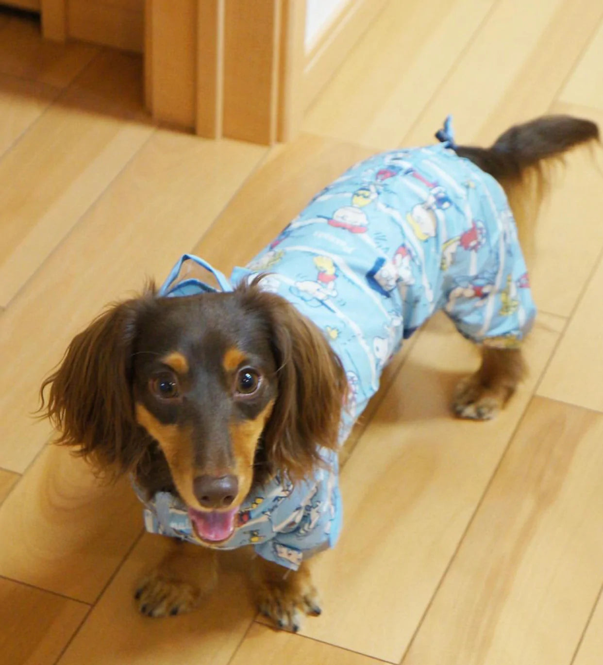 Snoopy Raincoat with 4 legs M-L