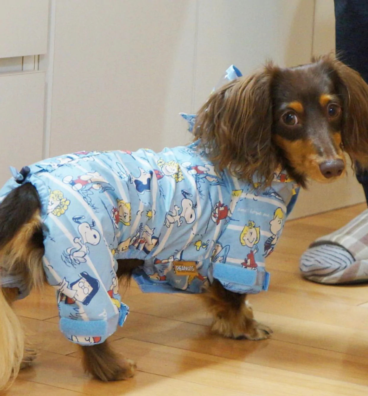 Snoopy Raincoat with 4 legs M-L