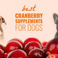 Cranberry Powder 100g