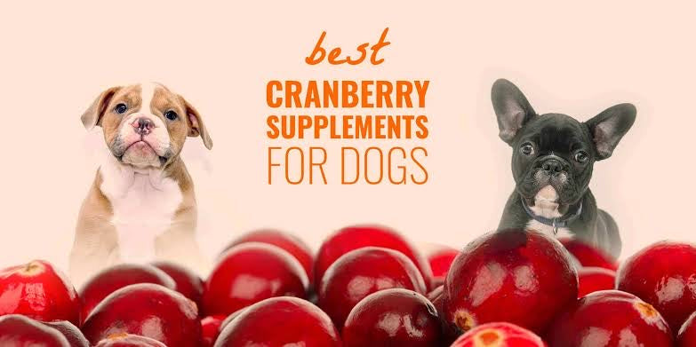 Cranberry Powder 100g