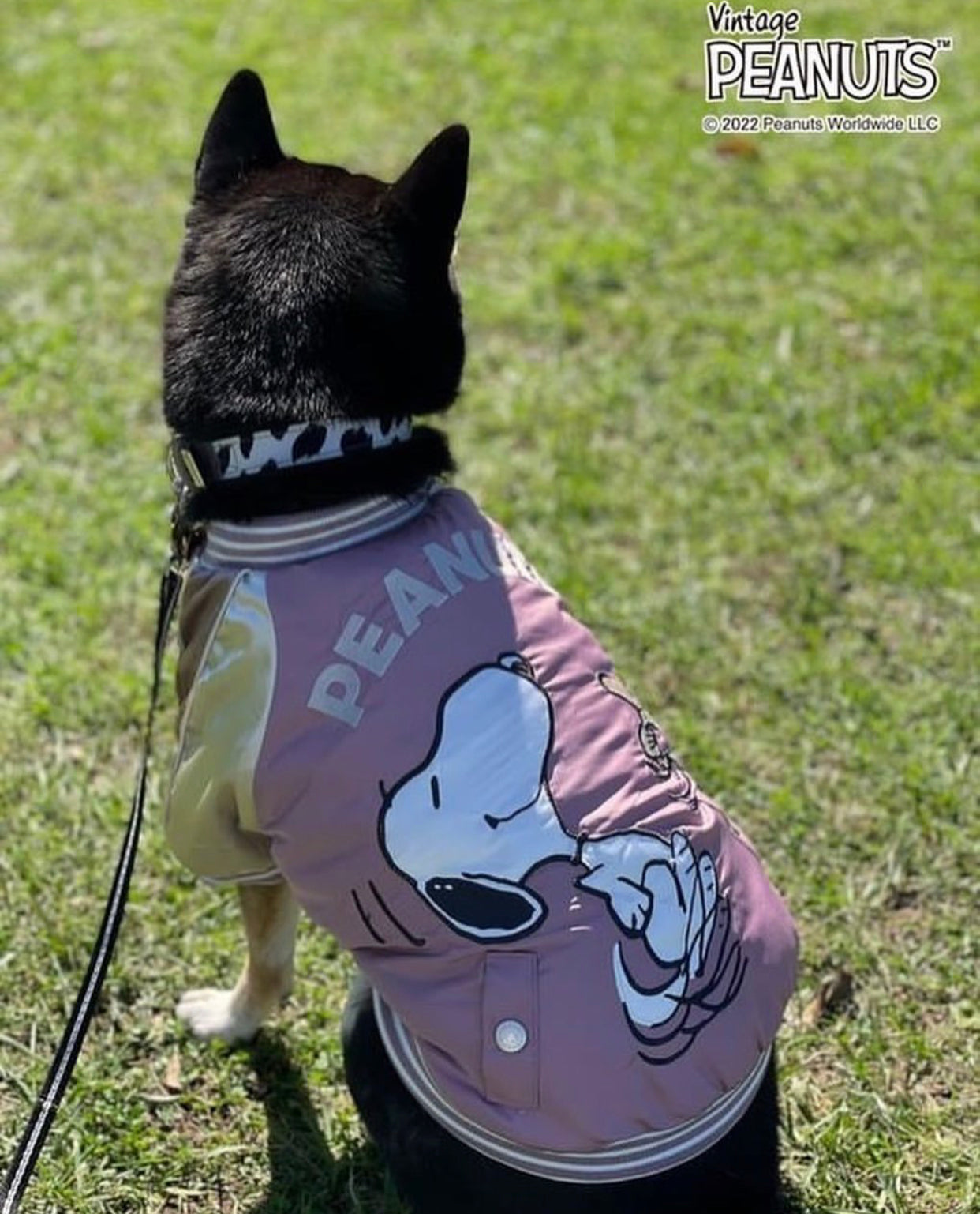 Snoopy Dance Jacket Pink - Online Only