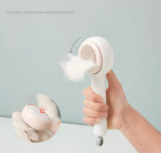 Self-Cleaning Retractable Brush