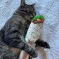 Feline Frenzy Shrimp Purrito Catnip Toy