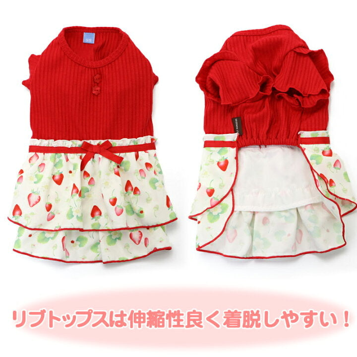 Strawberry Layered Dress