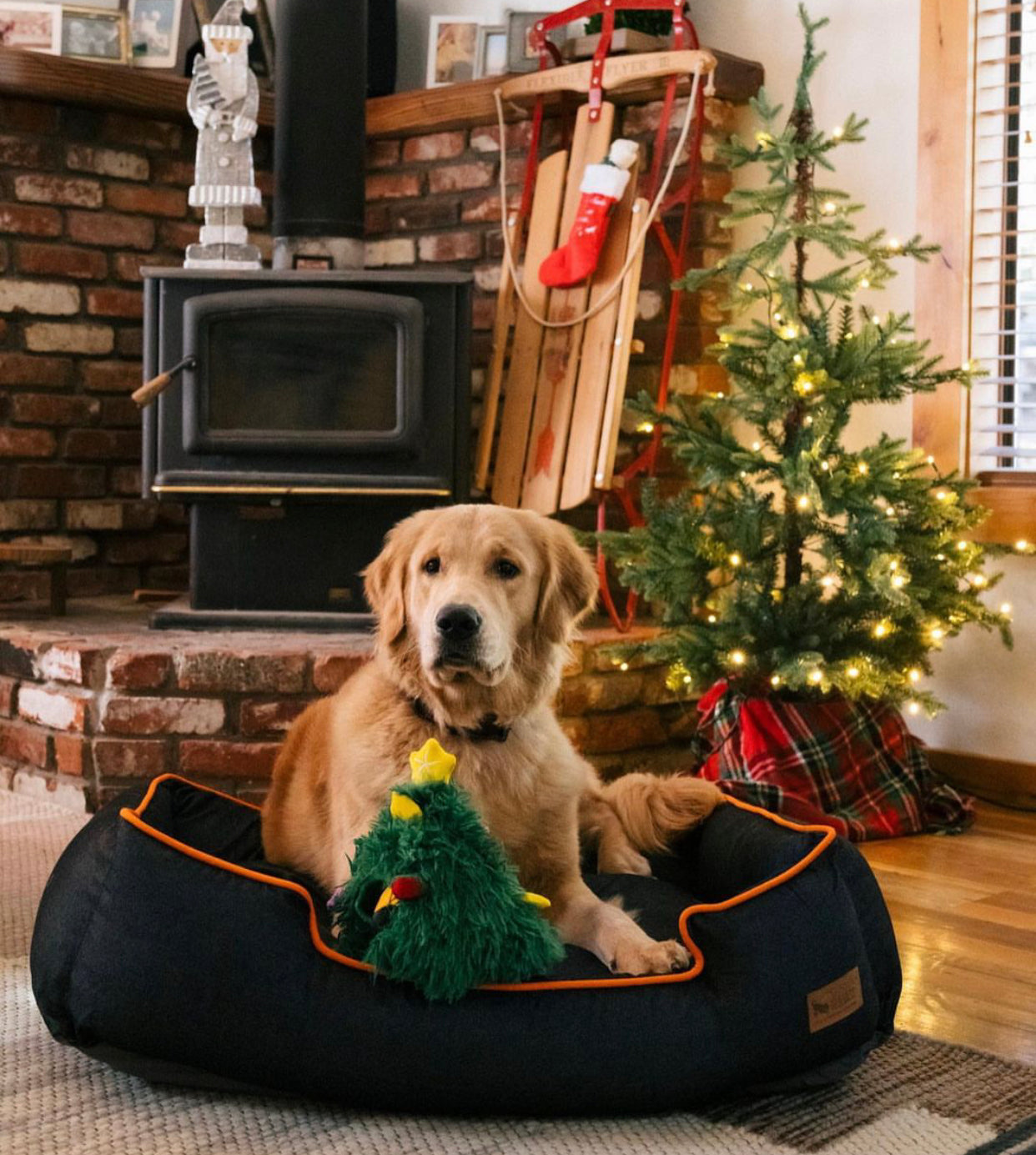 Merry Woofmas Toys