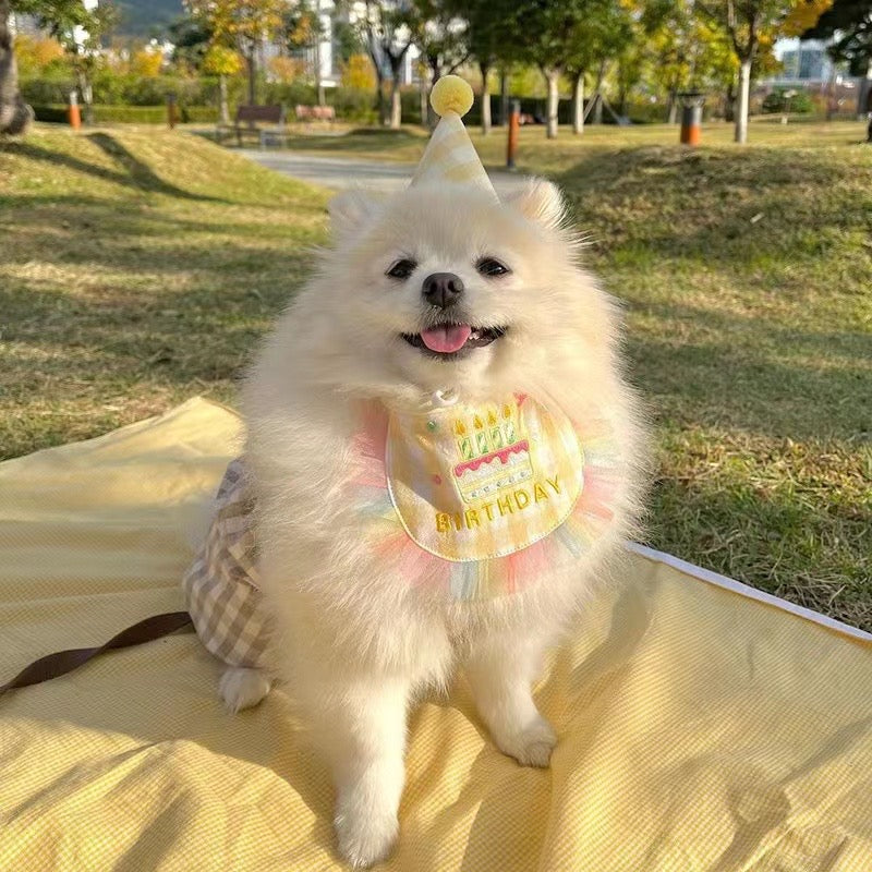 Birthday Bandana