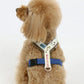 Snoopy Family Active Harness Khaki and Leash
