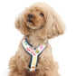 Disney Toy Story Active Harness and Leash