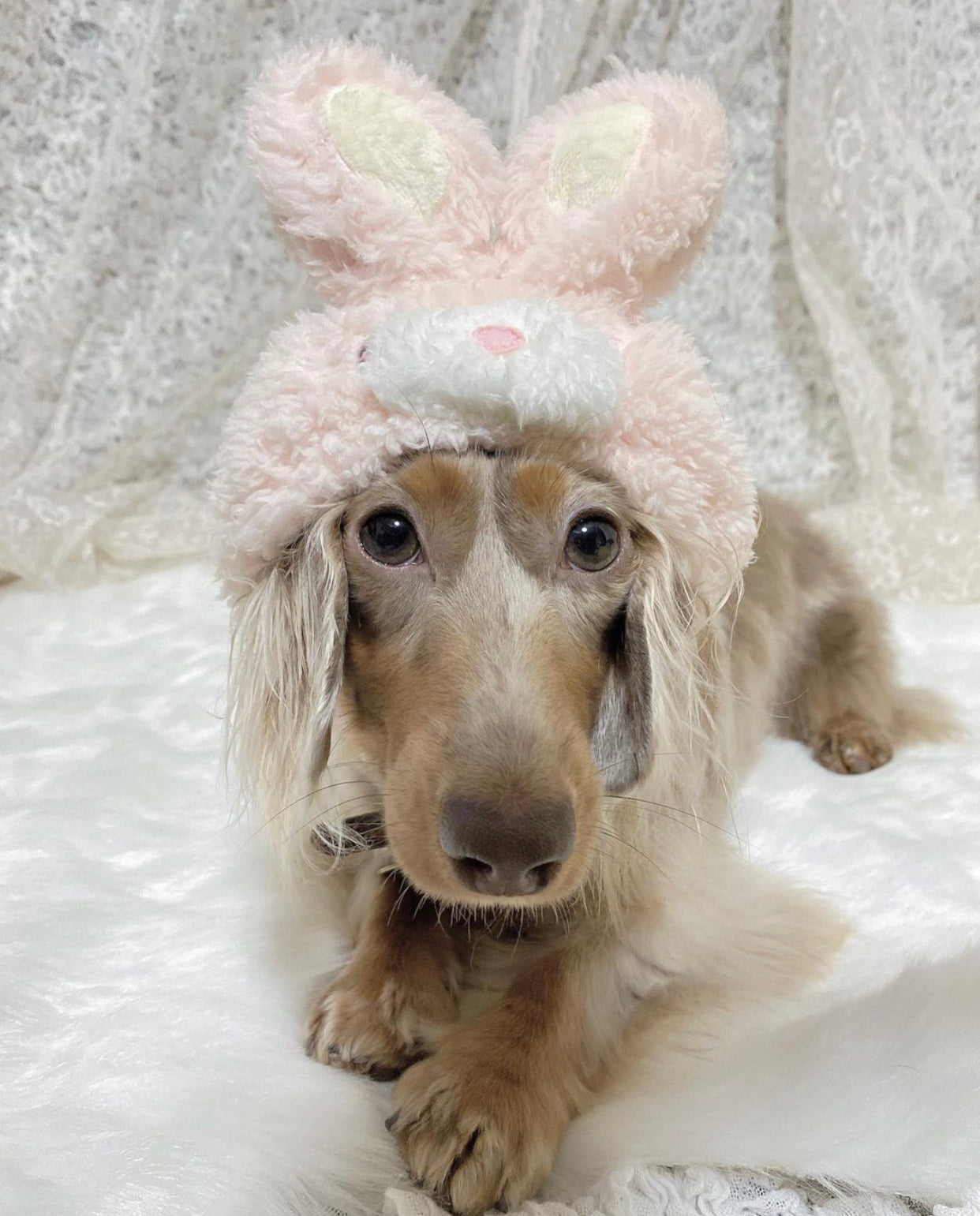 Rabbit Hat