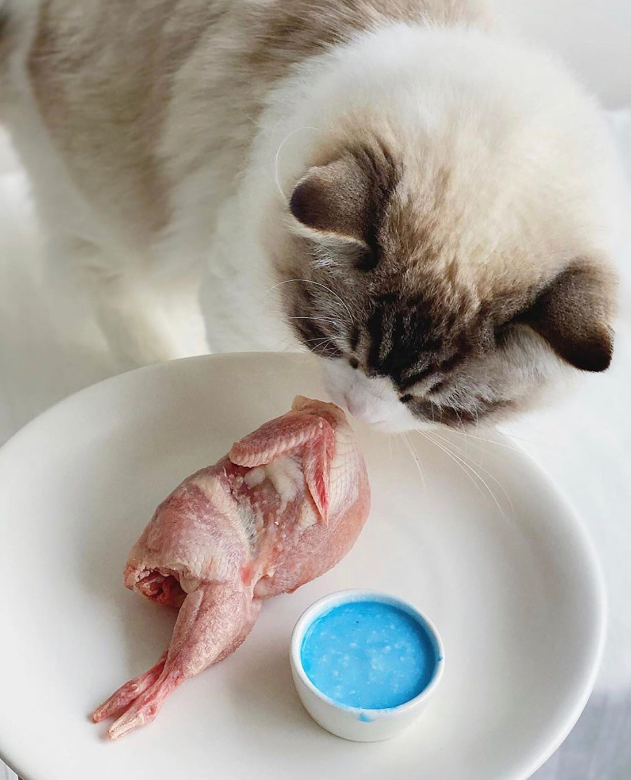 Quail (whole)