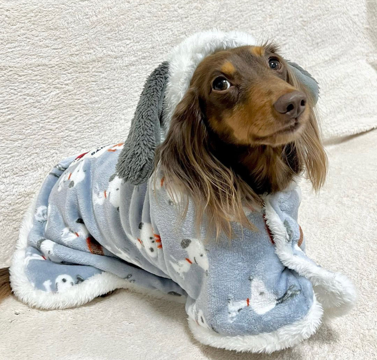 Snoopy Blankets to Wear Pop Pattern