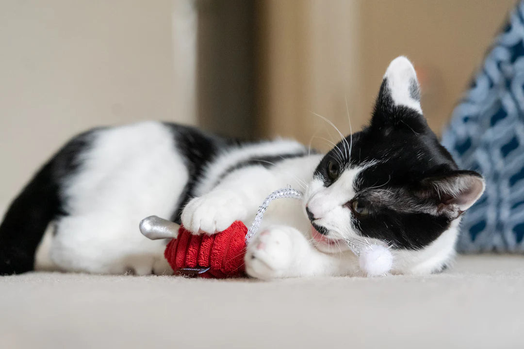 Feline Frenzy Twice as Mice Catnip Toy