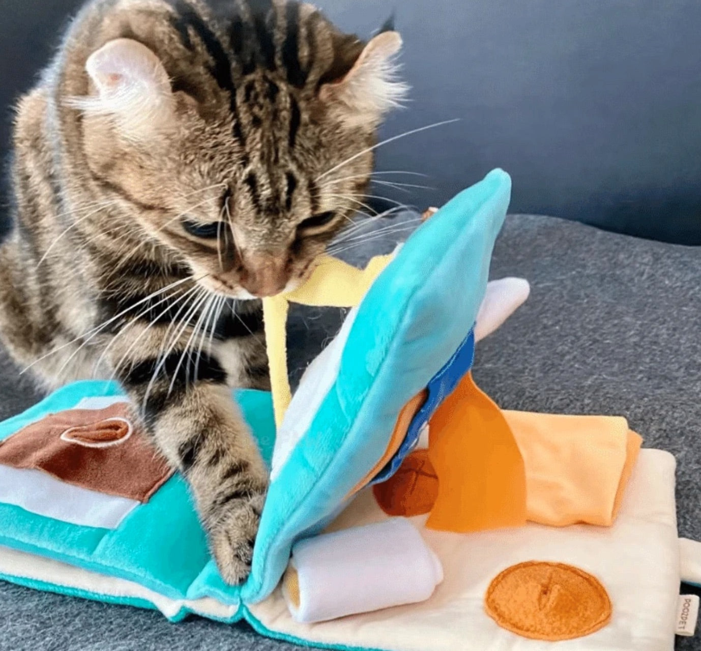 Sniffing Nosework Book Toy
