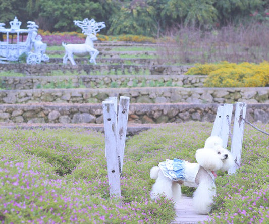 蓝色花园风格连衣裙