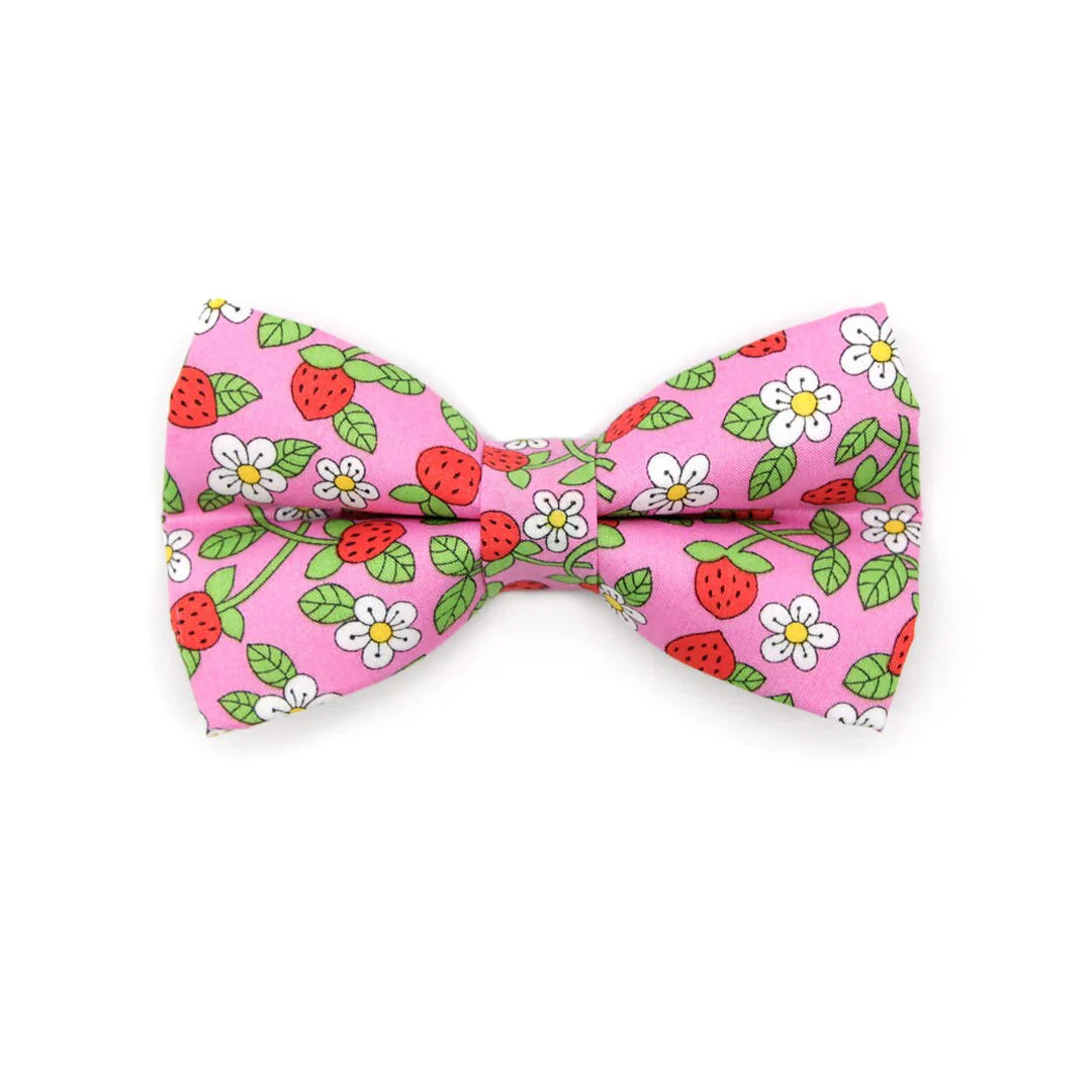 Wild Strawberry - Pink" - Liberty of London® Floral Cat Collar Bowtie Bandanna