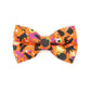 Hocus Pocus Cat Collar Bowtie