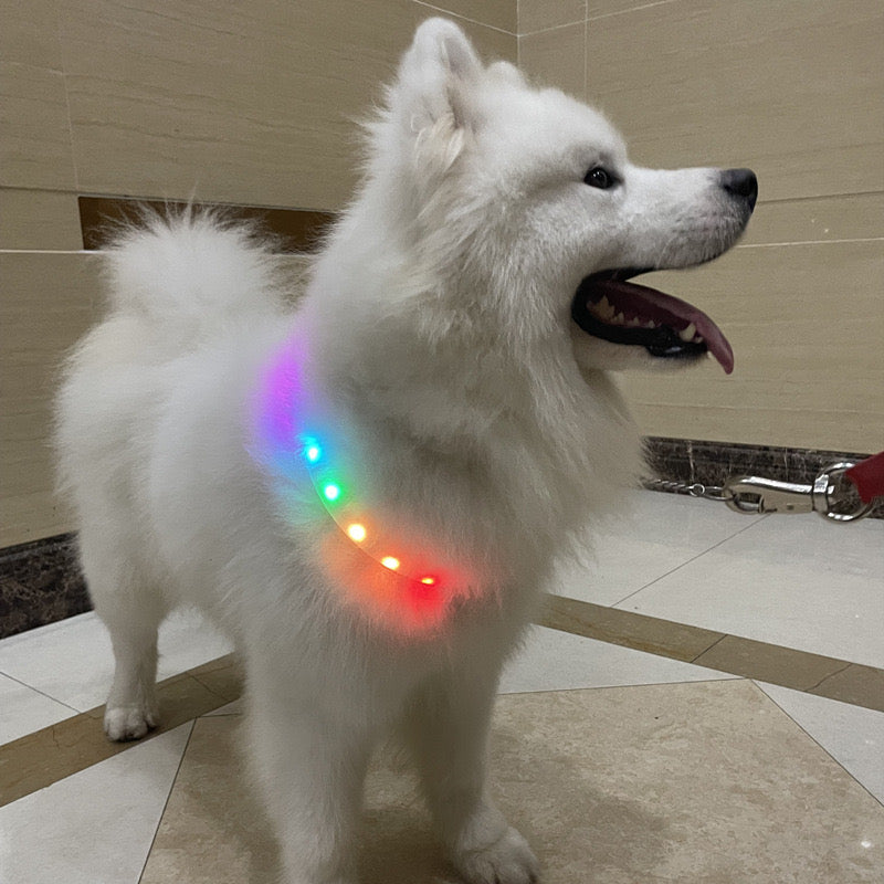 Rechargeable LED Collar