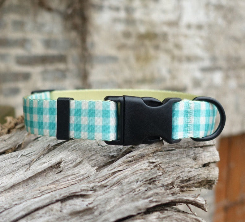 Aqua Collar Leash