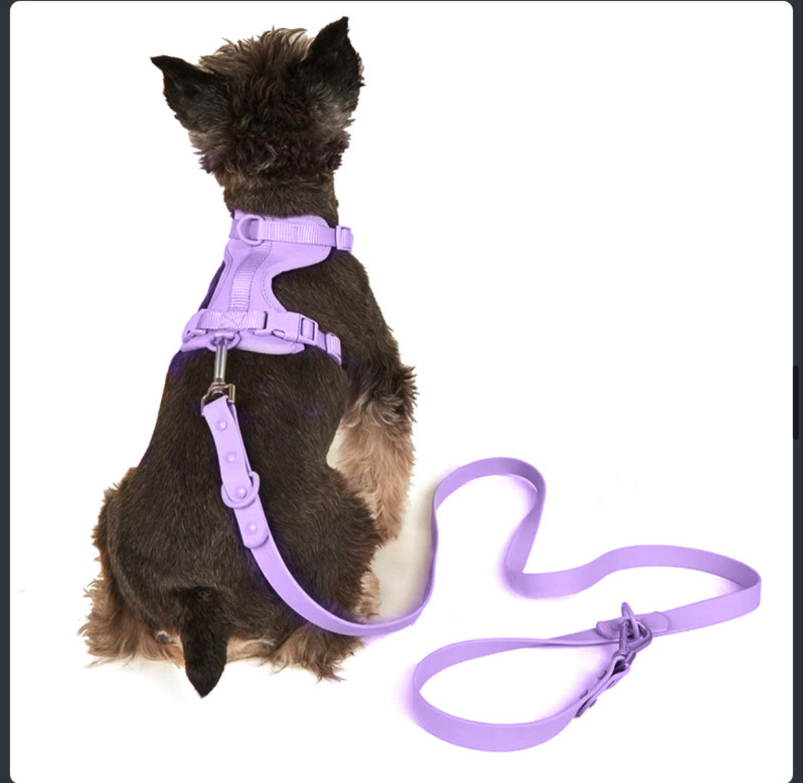 Silicon Water Proof Leash