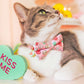 Conversation Hearts - Pink" - Candy Heart Cat Collar Bowtie
