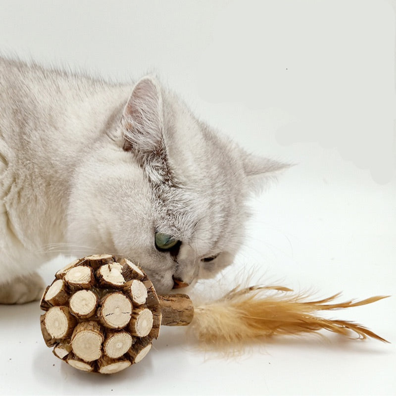 Silvervine Ball with Feather Toy