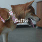Pink Floral Collar Leash