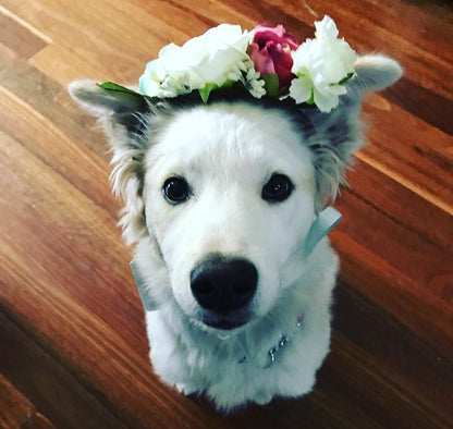 Floral Headband