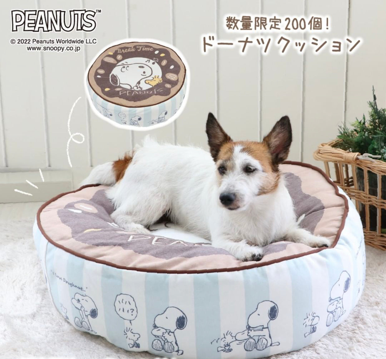 Snoopy Team Bed