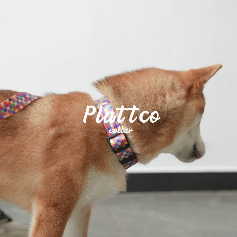 Plaid Collar Leash