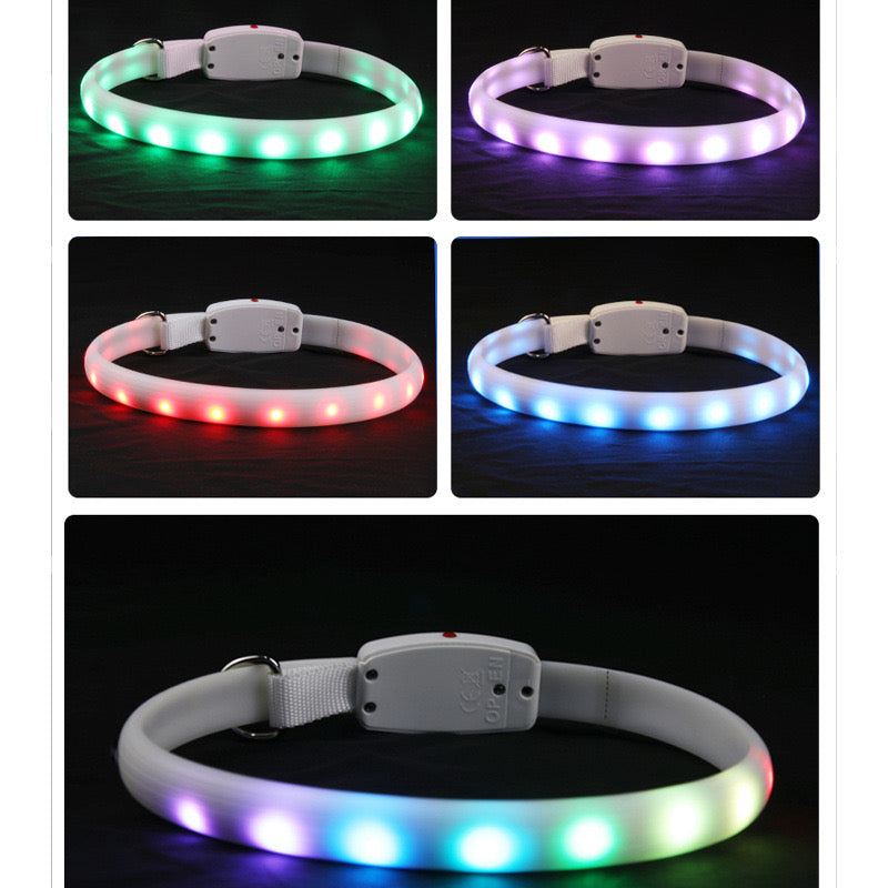 Rechargeable LED Collar