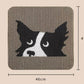 Border Collie Cat Scratching Board
