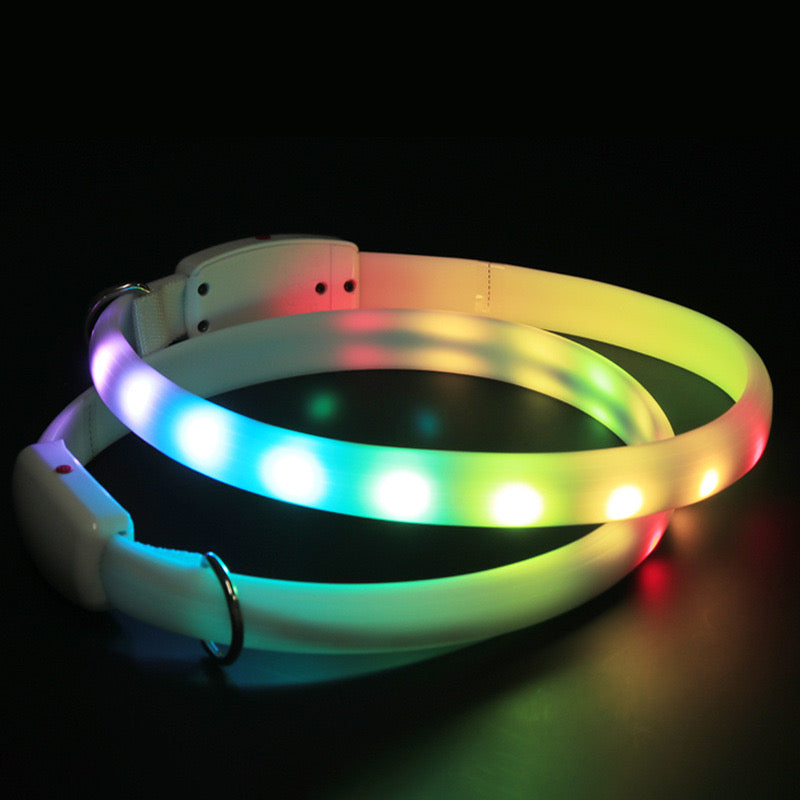 Rechargeable LED Collar