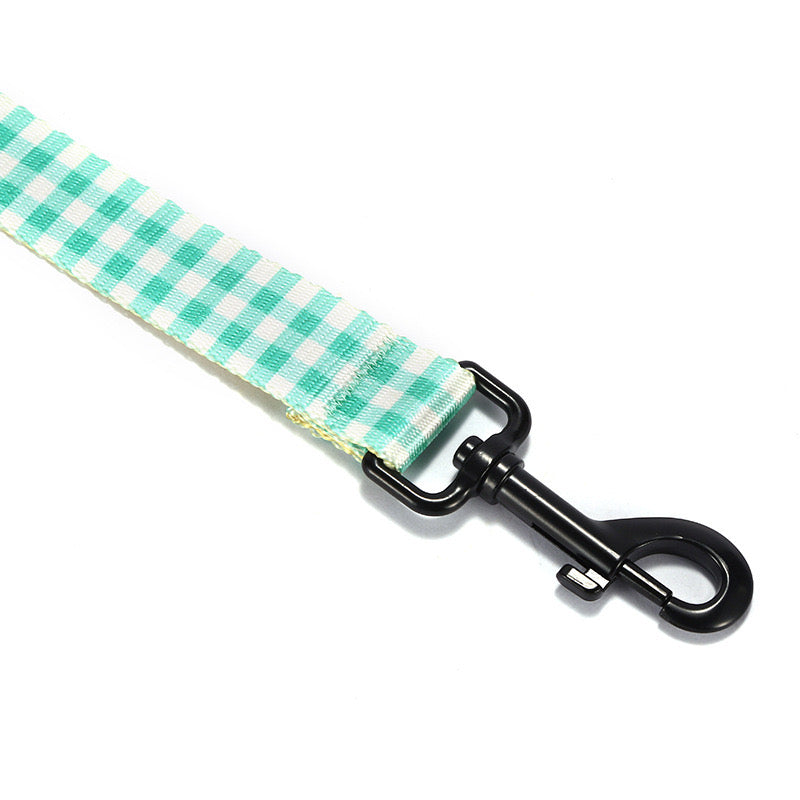 Aqua Collar Leash