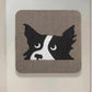 Border Collie Cat Scratching Board