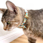 Breakfast Club Cat Collar Bowtie Bandanna