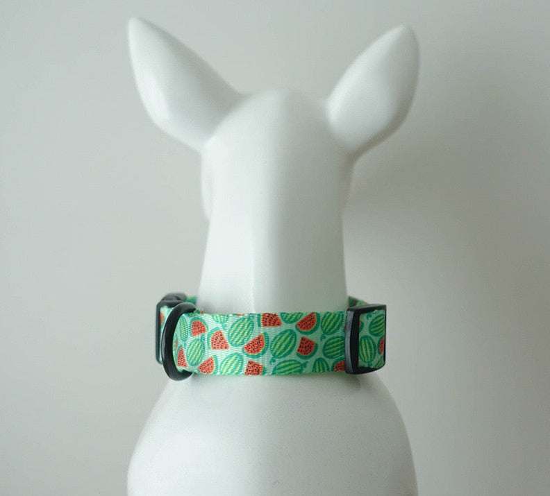 Watermelon Collar Leash