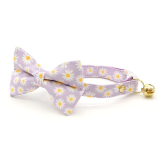 Daisies - Purple Cat Collar Bowtie Bandanna