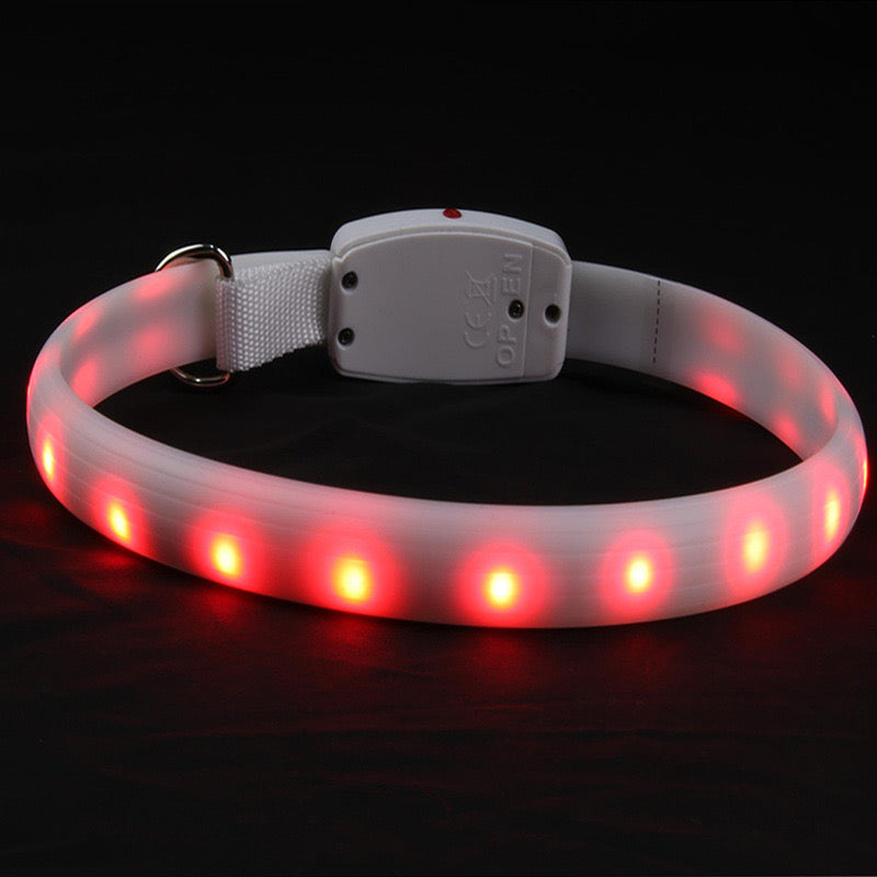 Rechargeable LED Collar