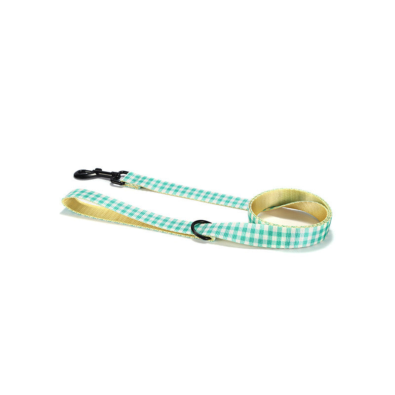 Aqua Collar Leash