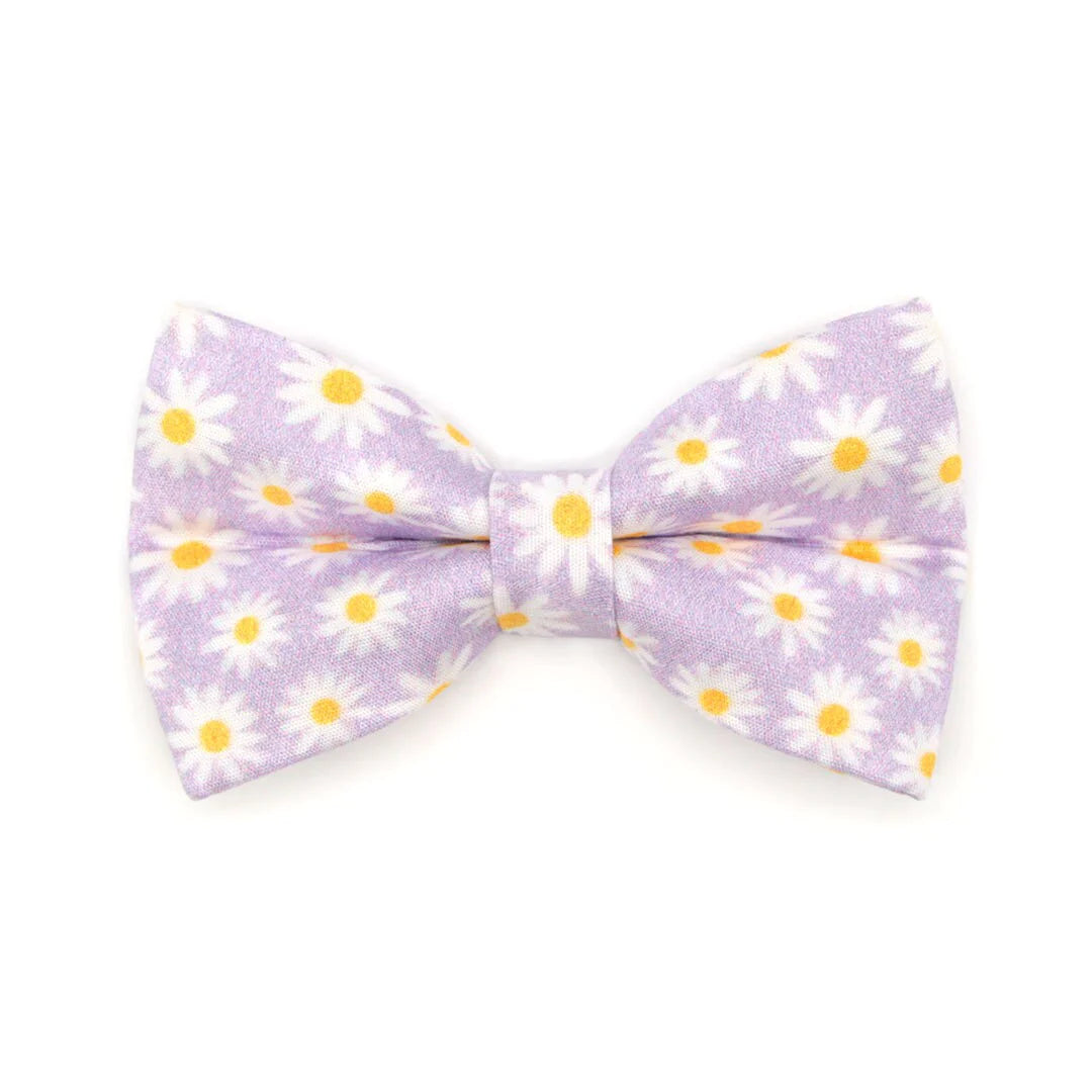 Daisies - Purple Cat Collar Bowtie Bandanna