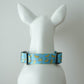 Bananas Collar Leash