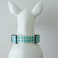 Aqua Collar Leash
