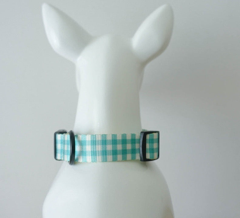 Aqua Collar Leash