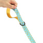 Bananas Collar Leash