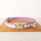 Purple Checks Cat/Puppy Collar Bowtie