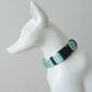 Aqua Collar Leash