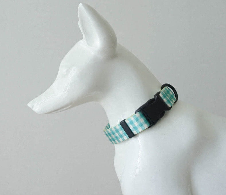 Aqua Collar Leash