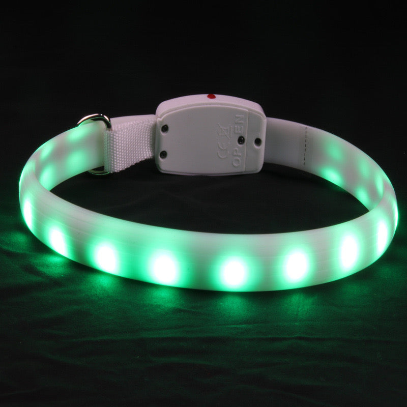 Rechargeable LED Collar